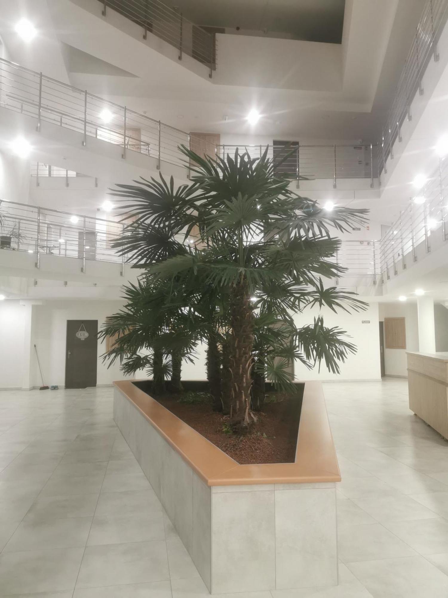 Beli Apartman Melygarazzsal Heviz Exterior foto